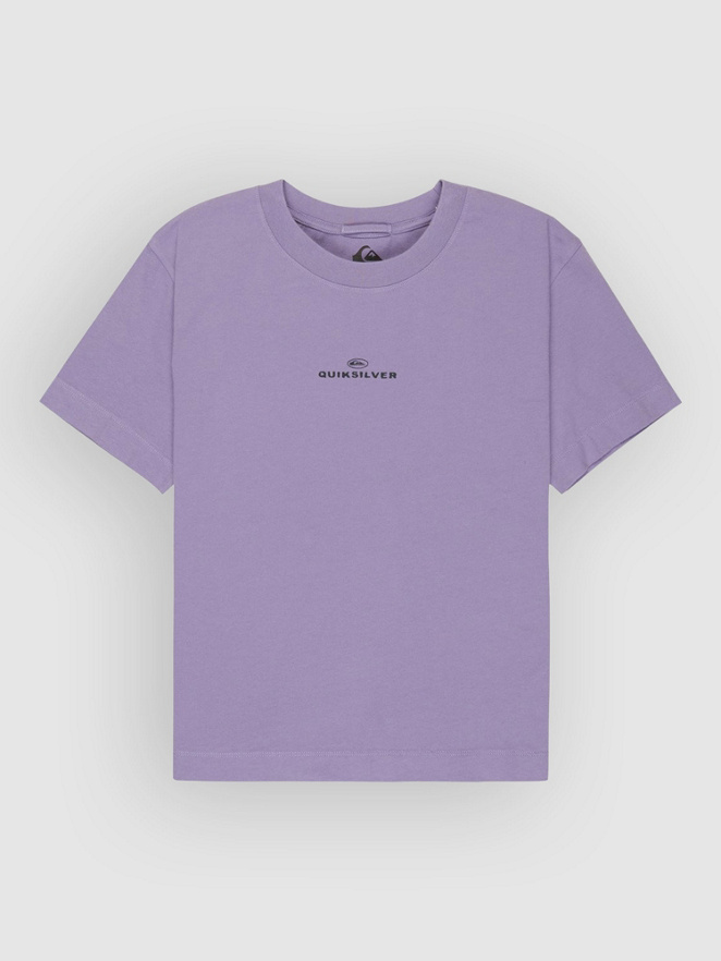 Quiksilver Standard T-Shirt