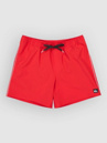 Quiksilver Stretch Piped Volley 16 Boardshorts