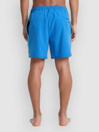 Quiksilver Stretch Piped Volley 16 Bañador