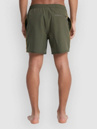 Quiksilver Stretch Piped Volley 16 Boardshorts