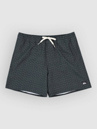 Quiksilver Stretch Printed Volley 16 Boardshorts