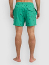 Quiksilver Stretch Printed Volley 16 Boardshorts