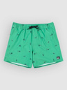 Quiksilver Stretch Printed Volley 16 Boardshorts