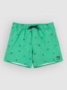 Quiksilver Stretch Printed Volley 16 Boardshorts