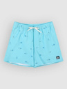Quiksilver Stretch Printed Volley 16 Boardshorts