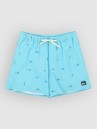 Quiksilver Stretch Printed Volley 16 Boardshorts