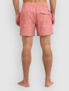 Quiksilver Stretch Printed Volley 16 Koupacky