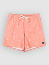 Quiksilver Stretch Printed Volley 16 Koupacky