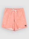 Quiksilver Stretch Printed Volley 16 Koupacky