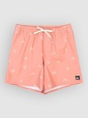 Quiksilver Stretch Printed Volley 16 Boardshorts