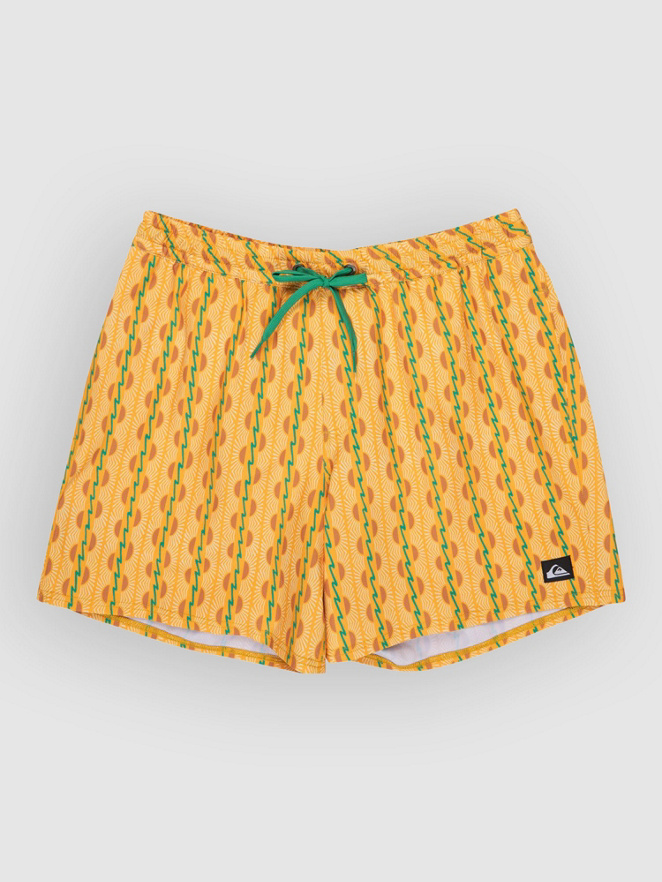 Quiksilver Stretch Printed Volley 16 Boardshorts