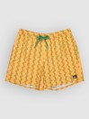 Quiksilver Stretch Printed Volley 16 Boardshorts