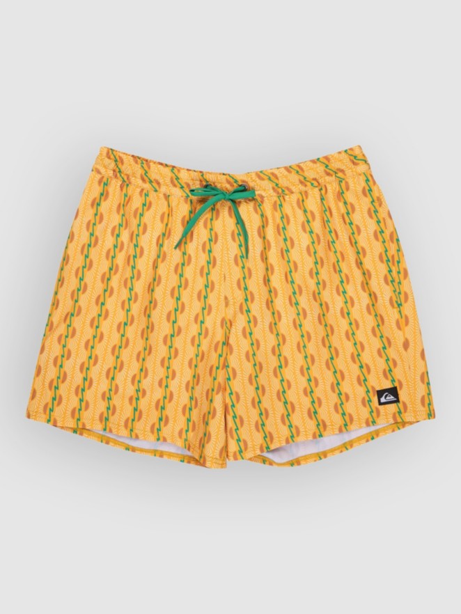 Quiksilver Stretch Printed Volley 16 Boardshorts