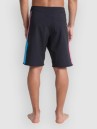 Quiksilver Surfsilk Holmes 20 Boardshorts