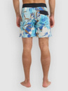 Quiksilver Surfsilk Kaimana Printed 16 Boardshorts