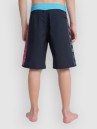 Quiksilver Surfsilk Next Gen 17 Kids Boardshorts