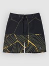 Quiksilver Surfsilk Straight 17 Kids Boardshorts