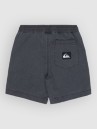 Quiksilver Taxer Boy Ws Kids Shorts
