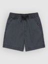 Quiksilver Taxer Boy Ws Kids Shorts