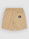 Quiksilver Taxer Boy Ws Kids Shorts