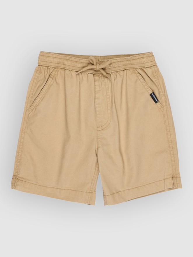Quiksilver Taxer Boy Ws Kids Shorts