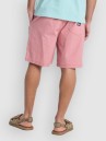 Quiksilver Taxer 19 Shorts