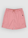 Quiksilver Taxer 19 Shorts