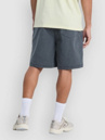 Quiksilver Taxer 19 Shorts