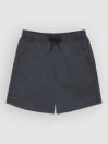 Quiksilver Taxer 19 Shorts