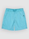 Quiksilver Taxer 19 Shorts