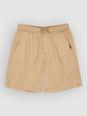 Quiksilver Taxer 19 Shorts
