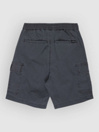 Quiksilver Taxer Cargo Kids Korte Broek