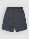 Quiksilver Taxer Cargo Kids Shorts
