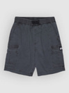 Quiksilver Taxer Cargo Kids Korte Broek