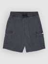 Quiksilver Taxer Cargo Kids Korte Broek
