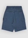 Quiksilver Taxer Cargo Kids Shortsit