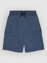 Quiksilver Taxer Cargo Kids Shorts