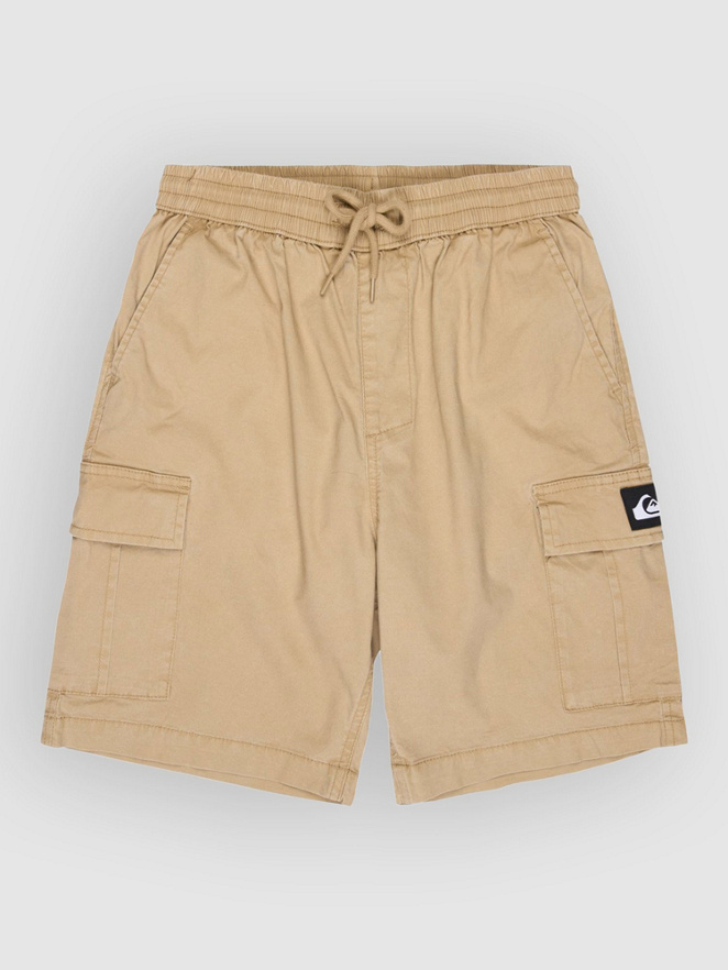 Quiksilver Taxer Cargo Kids Shortsit