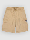 Quiksilver Taxer Cargo Kids Shortsit