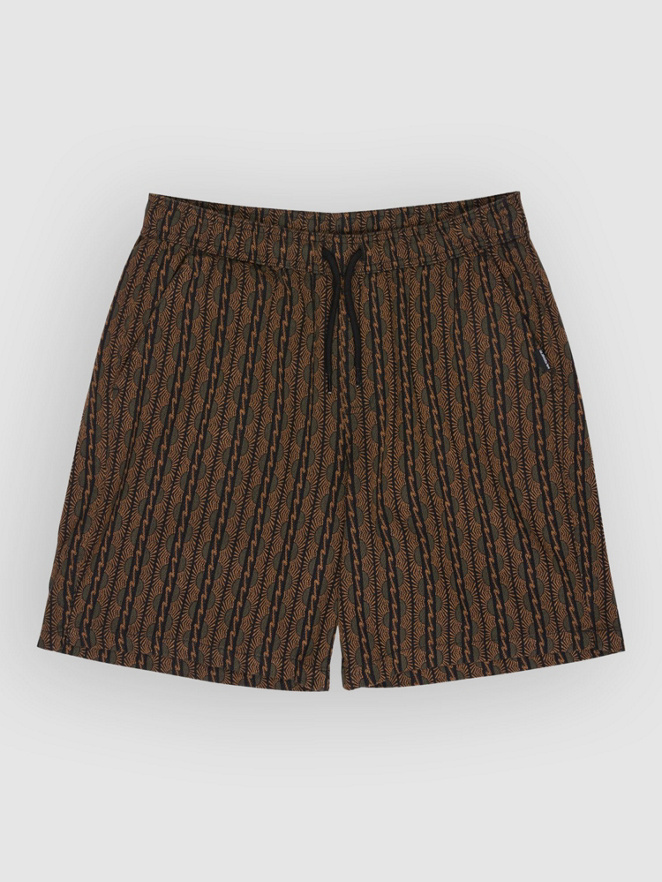 Quiksilver Taxer Jacquard Horizons Shorts