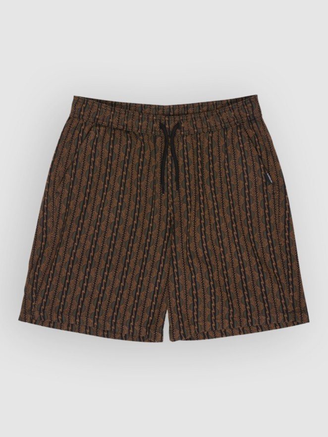 Quiksilver Taxer Jacquard Horizons Shorts