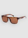 Quiksilver Time Box Shiny Tortoise Sunglasses
