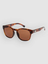 Quiksilver Time Box Shiny Tortoise Sunglasses
