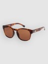 Quiksilver Time Box Shiny Tortoise Sunglasses