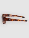 Quiksilver Time Box Shiny Tortoise Sunglasses
