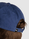 Quiksilver Decades Cotton Cap