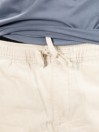 Katin USA Cord Local Shorts