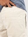 Katin USA Cord Local Shorts