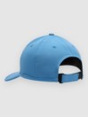 Fox Absolute Tech Cap