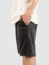 Iriedaily Corvin Shorts